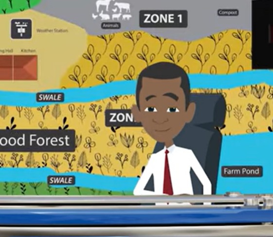 Animation & Motion Graphics